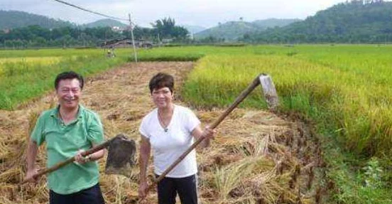 弃夫种田记喜获丰收酿美酒开启致富路