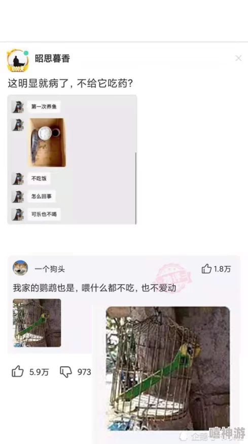 被男人操了过程十分痛苦但她最终还是屈服了