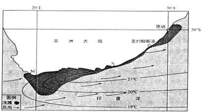 荒漠乐园生物灭绝迹象与物种灭绝的多重条件探析