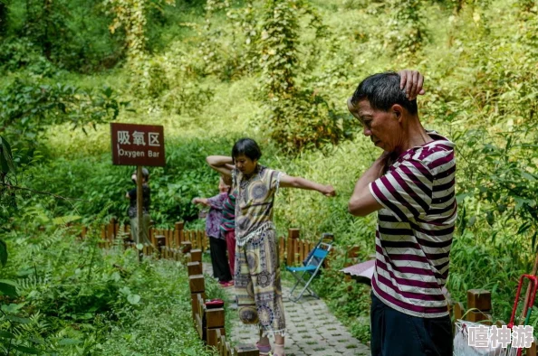 专为老年人设计的优质旅游线路推荐