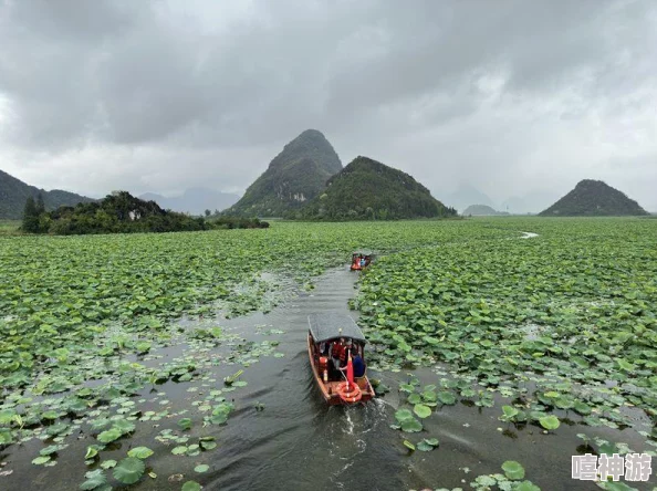 云南普者黑旅游攻略：探秘山水田园仙境之旅