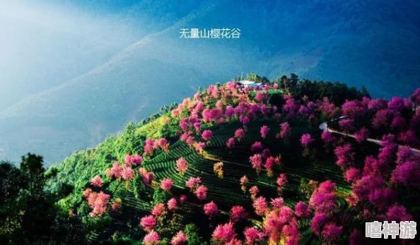 深度解析〈少年歌行风花雪月〉无量山玩法全攻略